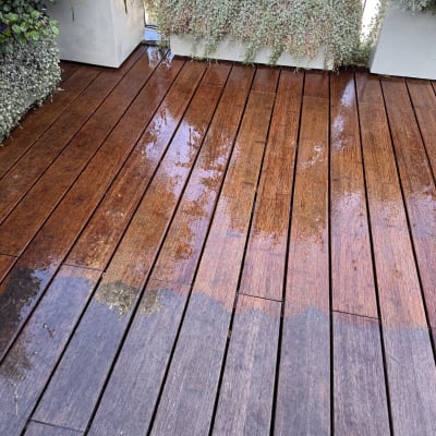 רצפת עץ רטובה עם עציצים גדולים מסביב