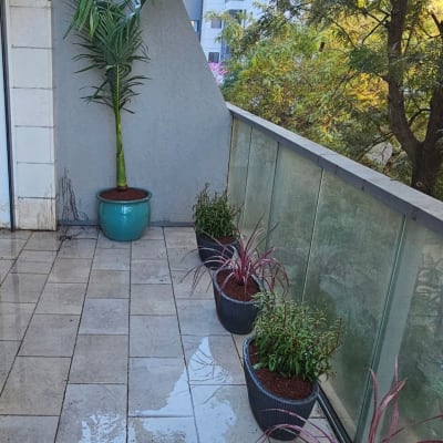 עציצים עם צמחים על מרפסת מרוצפת