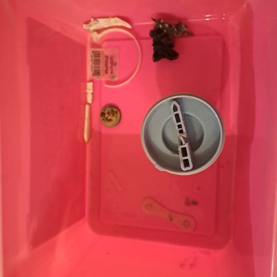 תמונה אינה מציגה עבודה בתחום