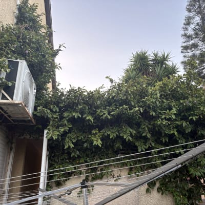 יחידת מיזוג אוויר על קיר עם צמחייה