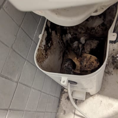 תמונה של מכל ביוב מלוכלך עם צינור