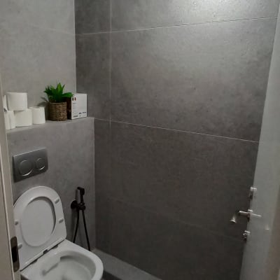 שירותים עם קיר אפור, נייר טואלט וצמח דקורטיבי.