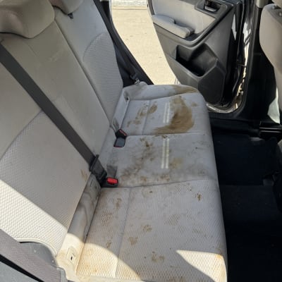 מושב אחורי של רכב עם כתמים ולכלוך