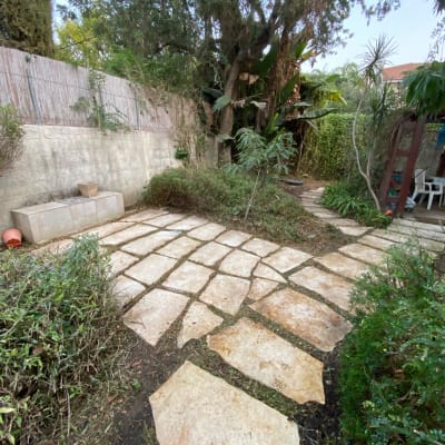 שביל אבנים בגינה עם צמחייה ועצים מסביב