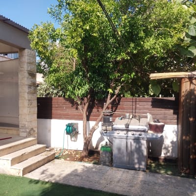 עץ ירוק עם צינור מים בחצר