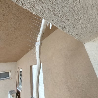 דוקרנים למניעת יונים על צינור חיצוני