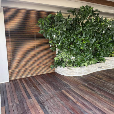 רצפת עץ עם צמחייה ירוקה ליד קיר עץ