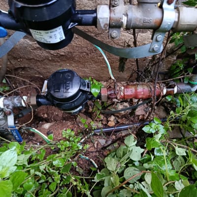 צנרת מים עם ברזים וצמחייה מסביב