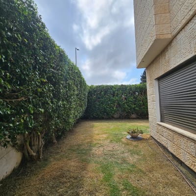חצר בית פרטי עם גדר חי ירוקה וגזומה ומשטח דשא