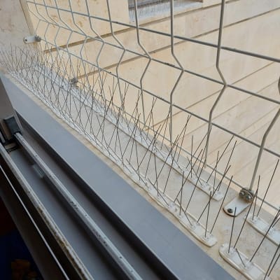 דוקרנים למניעת יונים על אדן חלון