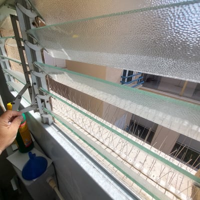 דוקרנים על אדן חלון למניעת יונים