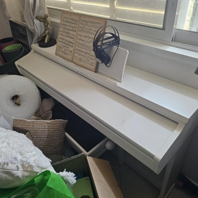 תמונה אינה מציגה עבודה בתחום