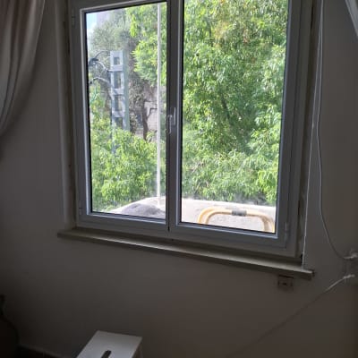 חלון אלומיניום עם נוף עצים ירוקים בחוץ