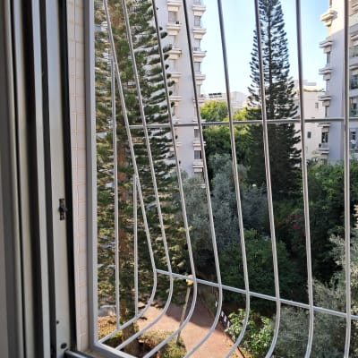 סורגי חלון עם נוף של עצים ובניינים ברקע