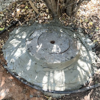 מכסה בטון עגול עם צינור ליד עץ