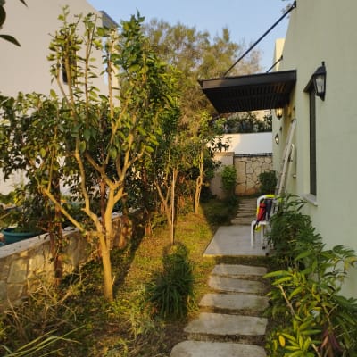 שביל אבן בגינה עם עצים ושיחים