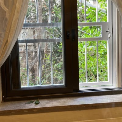 חלון עם מסגרת מתכת וברקע צמחייה ירוקה