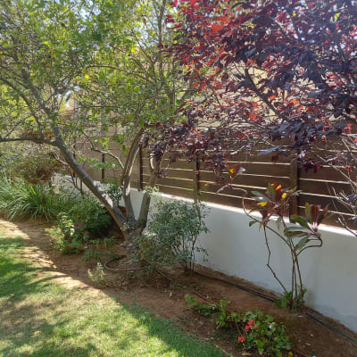 גדר עץ עם צמחים ופרחים בגינה