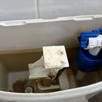 מיכל הדחה עם מנגנון פלסטיק כחול ולבן