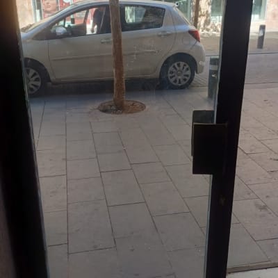 דלת זכוכית עם נוף לרחוב ועץ