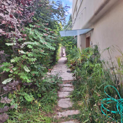 שביל אבן עם צינור השקיה וגינה ירוקה