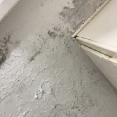 קיר עם קילופי צבע ועובש