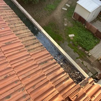 גג רעפים עם עלים בתעלה לידו