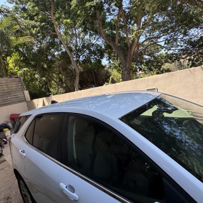 רכב חונה ליד עצים וגדר בחצר