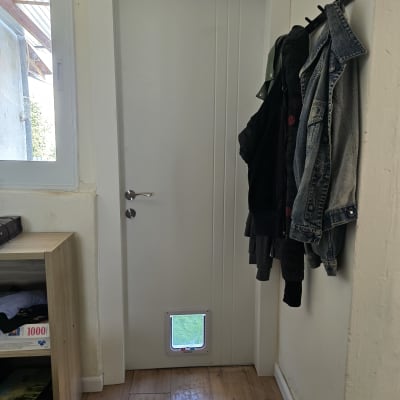 דלת עם פתח לחיות מחמד ומעילים תלויים