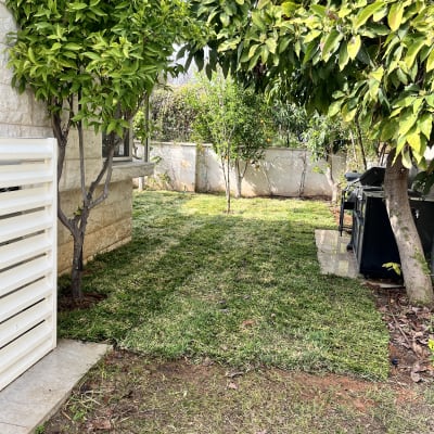 דשא ירוק ועצים בגינה קטנה