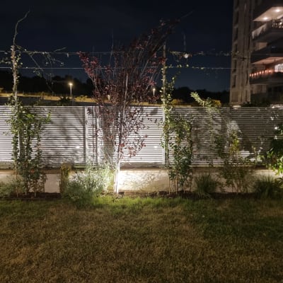 Outdoor garden with lighting and plants at night