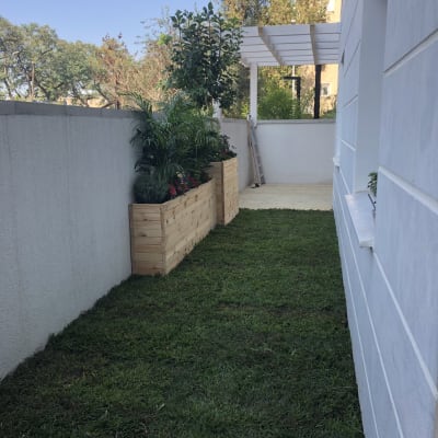 ערוגות עץ עם צמחים ודשא ירוק