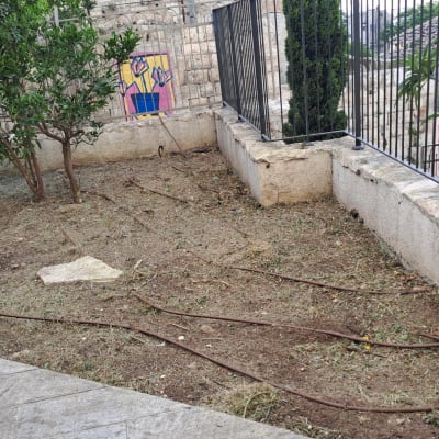 אדמה עם צינורות השקיה ועץ קטן בגינה