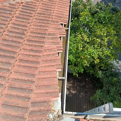 גג רעפים עם עלים יבשים וסולם לידו