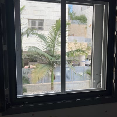 חלון אלומיניום עם נוף של עצי דקל בחוץ