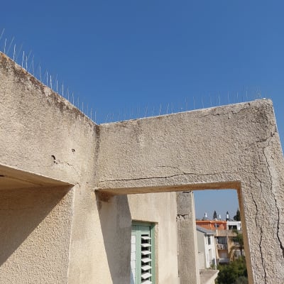 דוקרנים על קיר למניעת נחיתת יונים