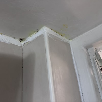 רטיבות ועובש בפינת תקרה ליד חלון
