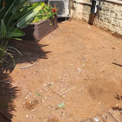 אדמה חשופה עם צינור השקיה וערוגת פרחים