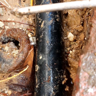 צינור שחור באדמה עם לכלוך וענפים