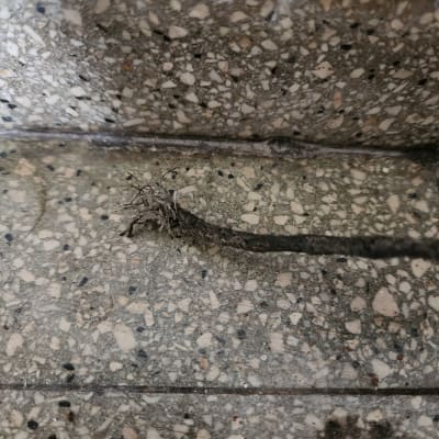 חוט חשמל חשוף על רצפת בטון