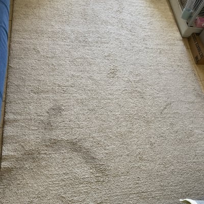 שטיח בהיר עם כתמים כהים על הרצפה