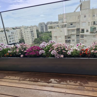 עציץ עם פרחים על מרפסת עם נוף עירוני