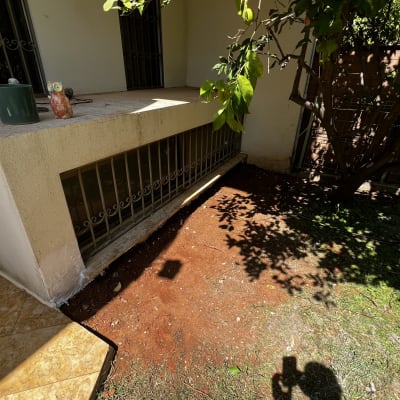 תמונה אינה מציגה עבודה בתחום