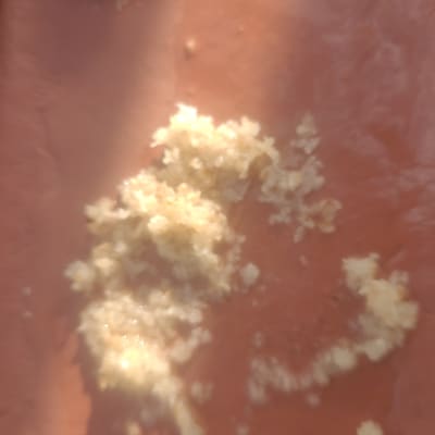 תמונה אינה מציגה עבודה בתחום