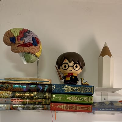 תמונה אינה מציגה עבודה בתחום