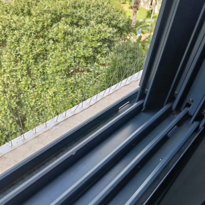 דוקרנים על אדן חלון למניעת יונים