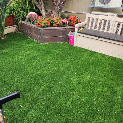 עץ גדול עם פרחים צבעוניים בערוגה מוגבהת