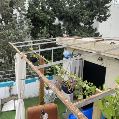 עציצים תלויים על פרגולה במרפסת עם צמחים מטפסים