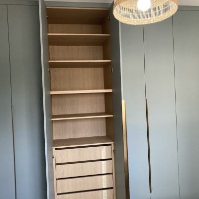 ארון עץ עם מדפים ודלתות פתוחות