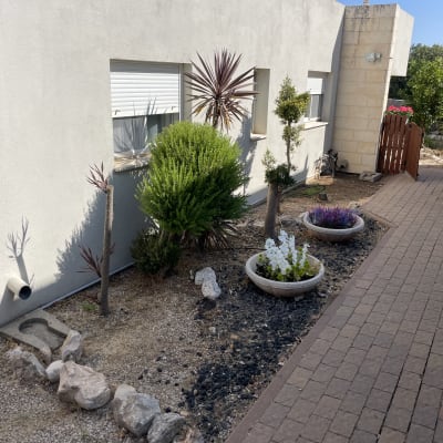 גינה עם צמחים ועציצים ליד קיר בית